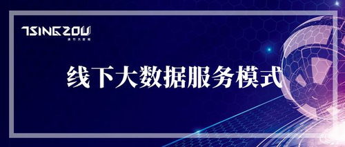 連接物理與數字世界 線下大數據服務模式的市場營銷洞察